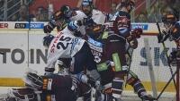 hokej sparta2